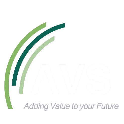   AVS Consulting