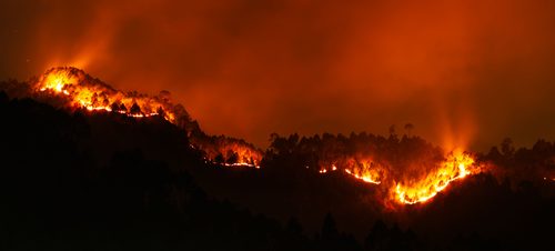 PRÉSTAMOS BONIFICADOS IVF INCENDIOS FORESTALES 2026